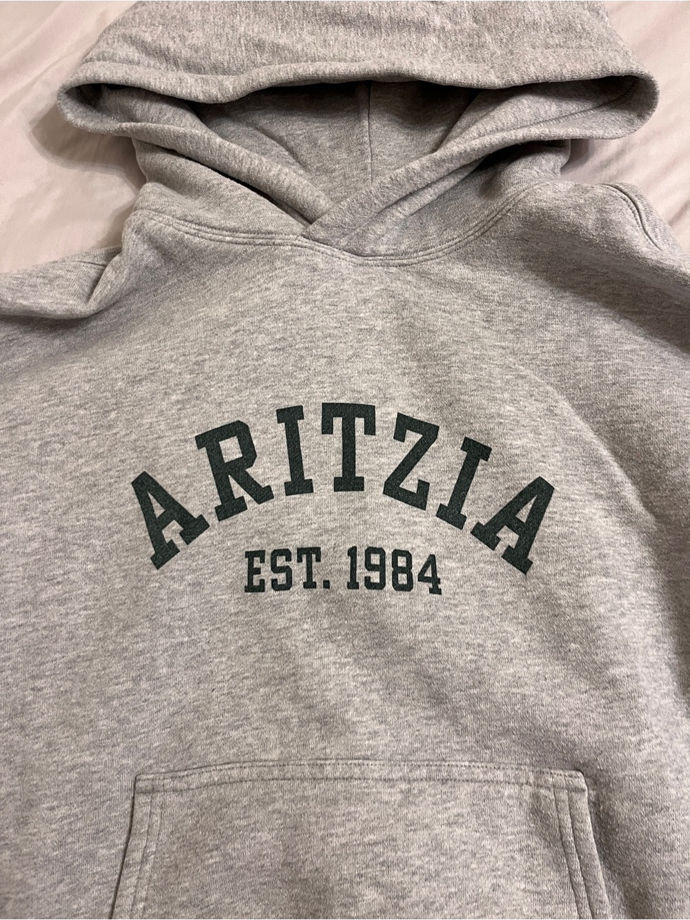 Aritzia Grey Hoodie with Dark Green Logo